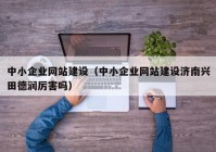 中小企业网站建设（中小企业网站建设济南兴田德润厉害吗）